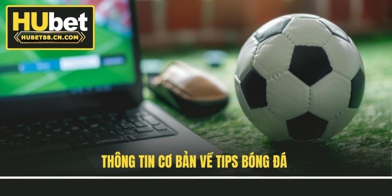 Thông tin cơ bản về tips bóng đá Thông tin cơ bản về tips bóng đá